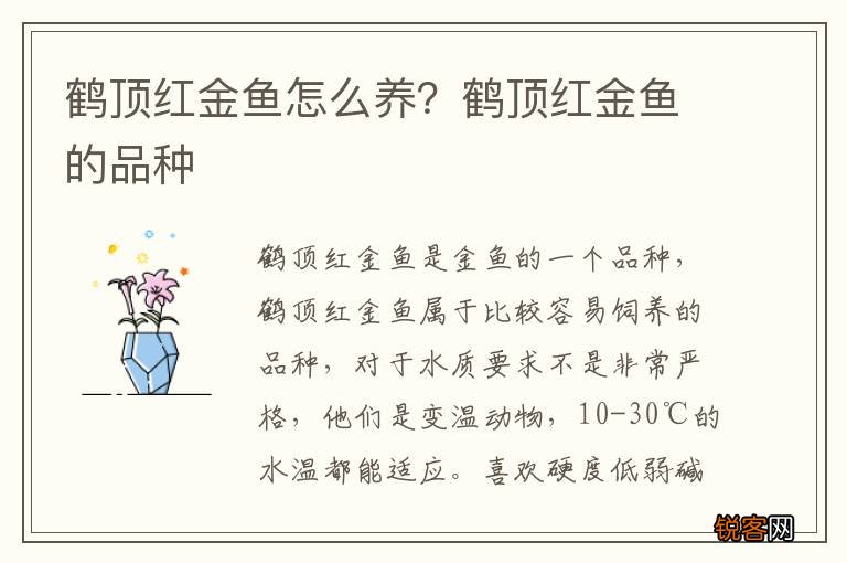 鹤顶红金鱼怎么养？鹤顶红金鱼的品种