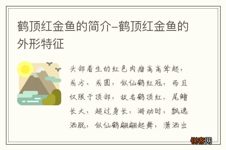 鹤顶红金鱼的简介-鹤顶红金鱼的外形特征