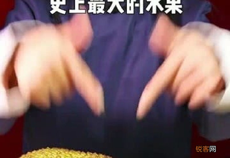 10斤菠萝蜜能剥出几斤肉