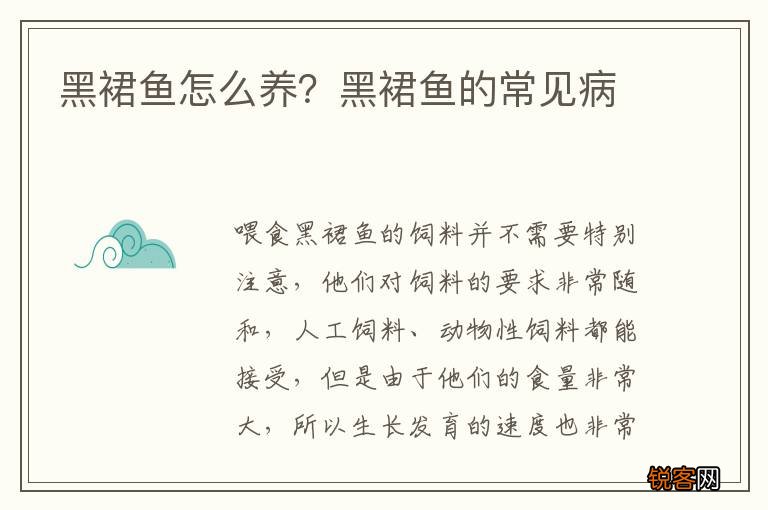 黑裙鱼怎么养？黑裙鱼的常见病
