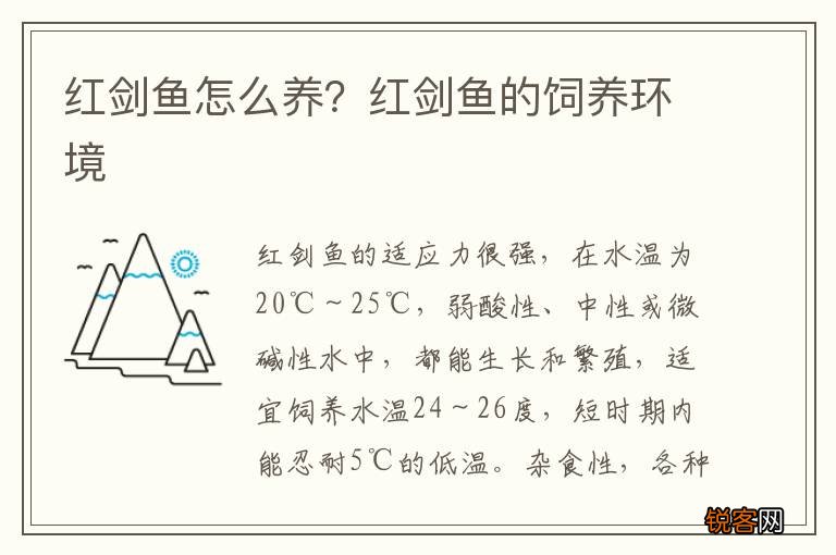 红剑鱼怎么养？红剑鱼的饲养环境