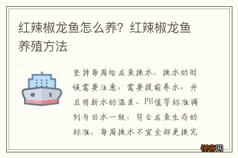 红辣椒龙鱼怎么养？红辣椒龙鱼养殖方法