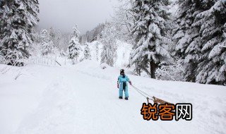 雪的形成原因与作用 雪对庄稼生长有好处吗