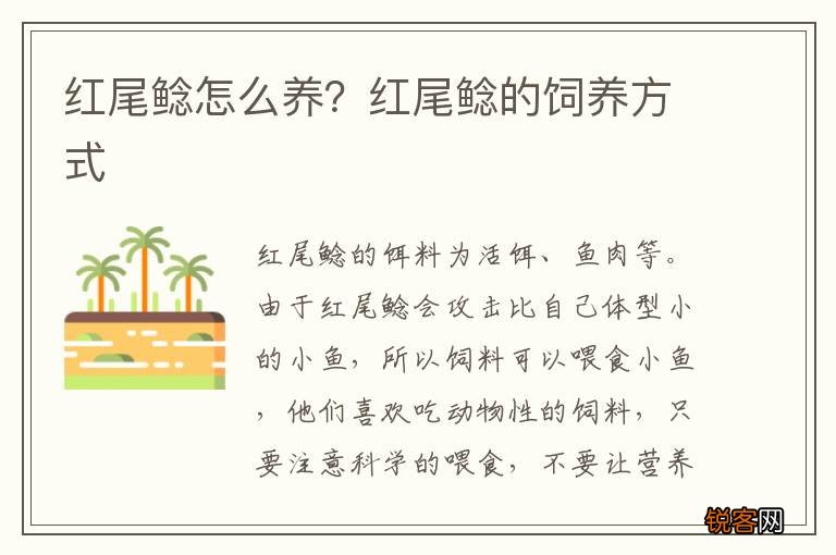 红尾鲶怎么养？红尾鲶的饲养方式