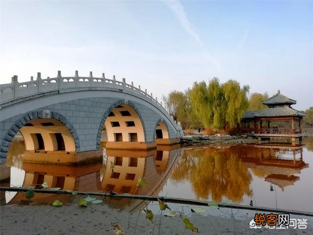 天津武清森林公园好玩吗？