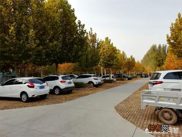 天津武清森林公园好玩吗？