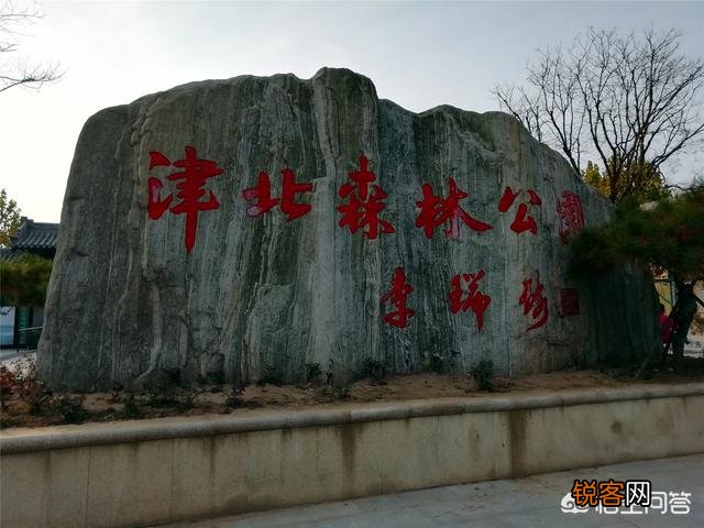 天津武清森林公园好玩吗？