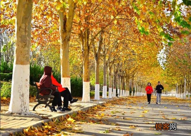 天津都有哪些森林公园？