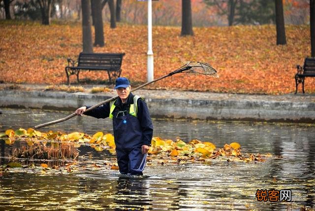 天津都有哪些森林公园？