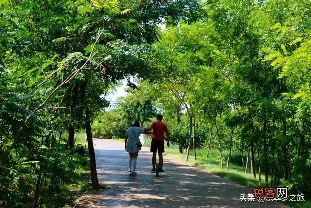 天津都有哪些森林公园？