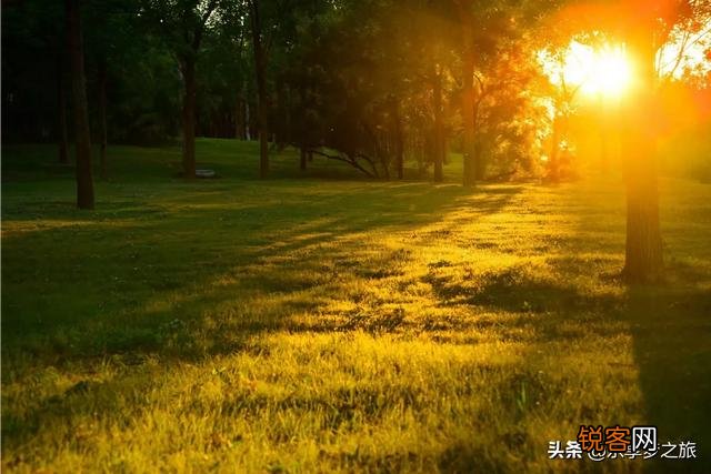 天津都有哪些森林公园？