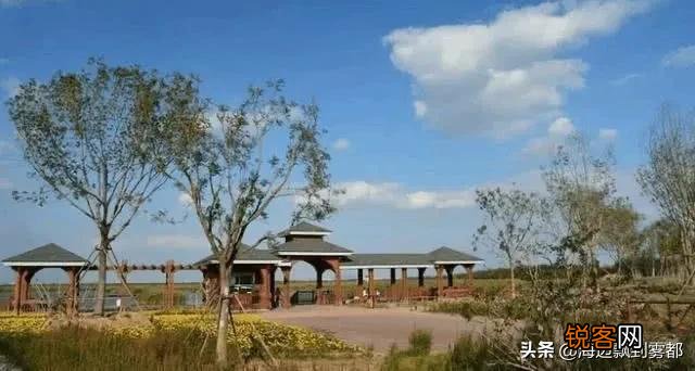 天津都有哪些森林公园？