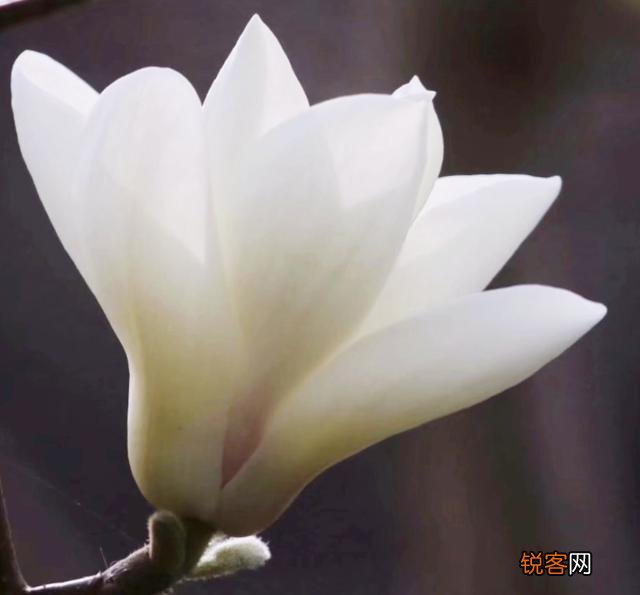 天津都有哪些森林公园？