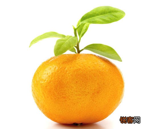 四种食物吃出好口气