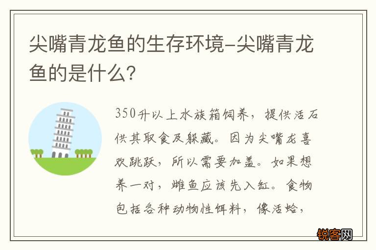 尖嘴青龙鱼的生存环境-尖嘴青龙鱼的是什么？