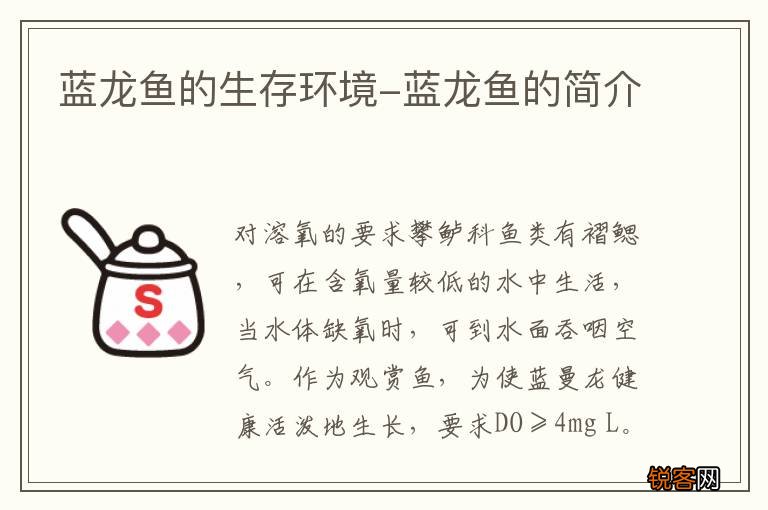 蓝龙鱼的生存环境-蓝龙鱼的简介