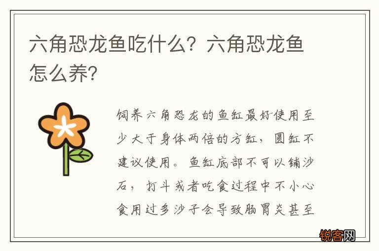 六角恐龙鱼吃什么？六角恐龙鱼怎么养？