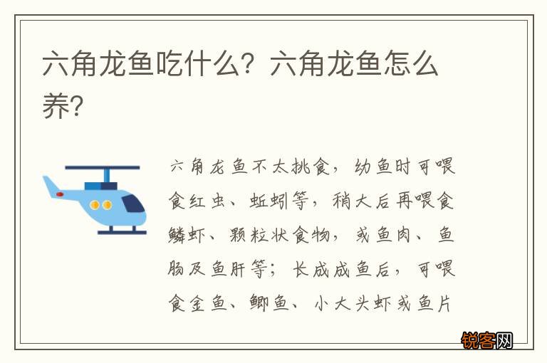 六角龙鱼吃什么？六角龙鱼怎么养？