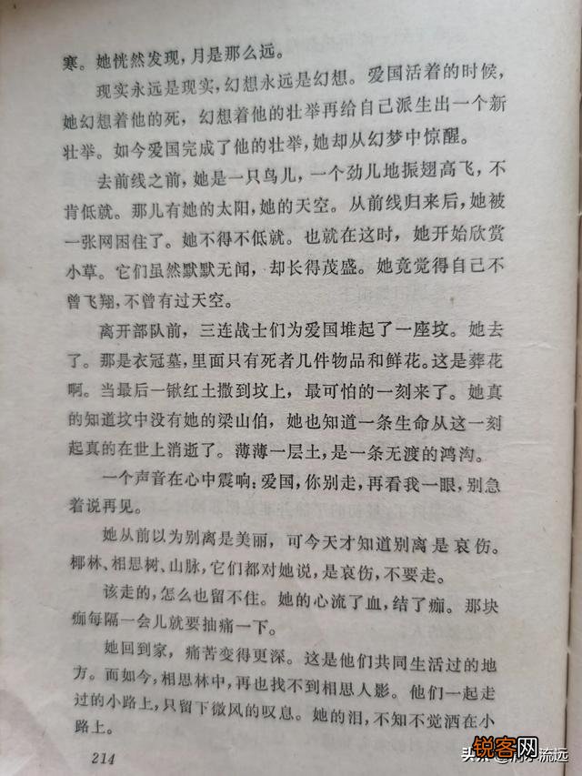 假如让你给中学生推荐一本爱情小说,你会推荐哪本书？