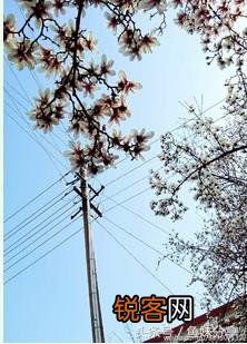 能不能给我推荐一些好看的现代言情小说？