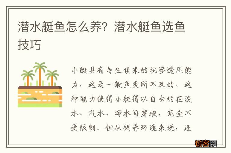 潜水艇鱼怎么养？潜水艇鱼选鱼技巧