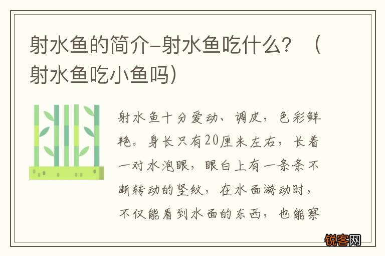 射水鱼吃小鱼吗 射水鱼的简介-射水鱼吃什么？
