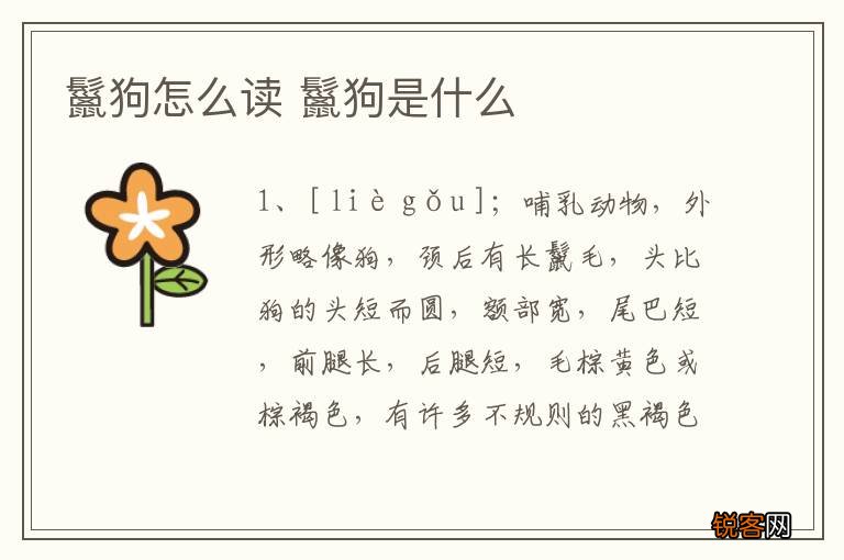 鬣狗怎么读 鬣狗是什么