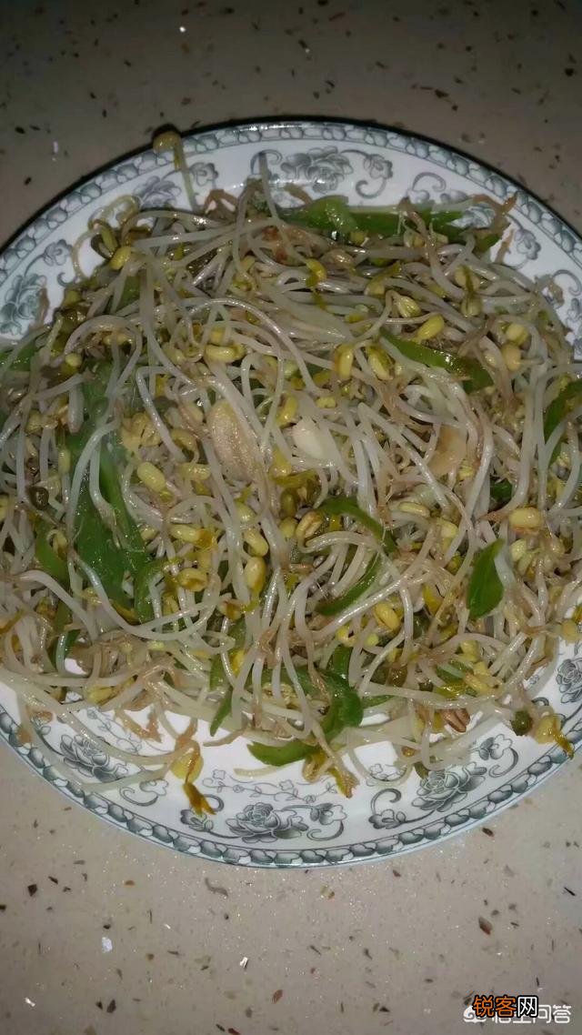 豆芽怎么能生长出来？