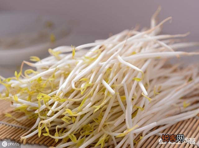 黄豆豆芽菜怎么培育？