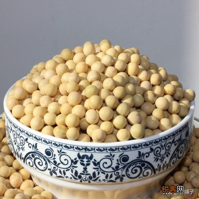 黄豆豆芽菜怎么培育？