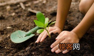 植树有什么好处 植树好处有哪些