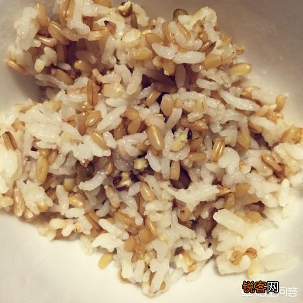 糙米如何与食疗养生结合？