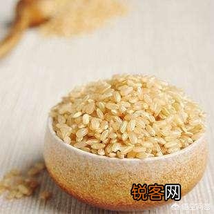 糙米如何与食疗养生结合？