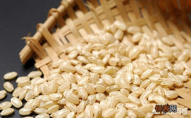 糙米如何与食疗养生结合？