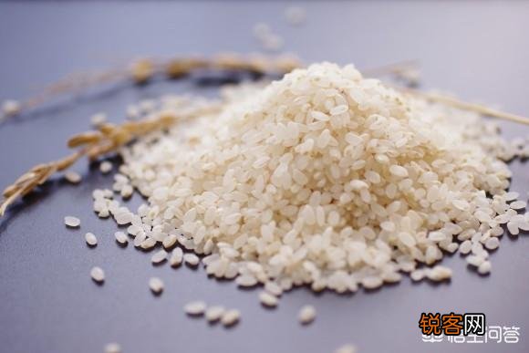 为什么说1碗糙米饭含有19碗白米饭的营养价值？你怎么看？