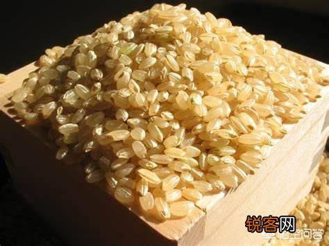 为什么说1碗糙米饭含有19碗白米饭的营养价值？你怎么看？