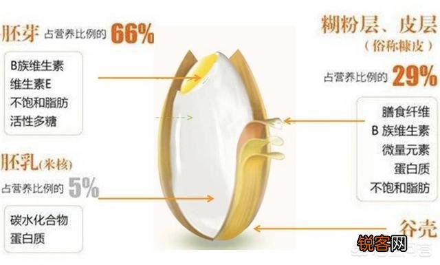 有人说吃糙米降糖,最好吃发芽的糙米,你怎么看？