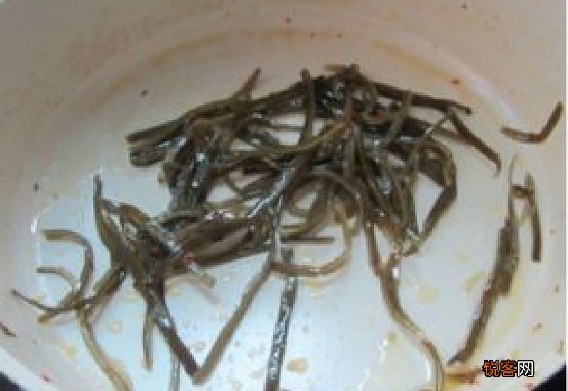 洋葱可以和海带一起吃吗