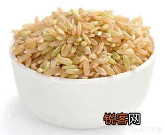 糙米,胚芽米,精白米哪个更有营养？