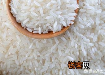 糙米,胚芽米,精白米哪个更有营养？