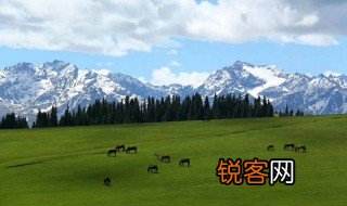 那拉提大草原与喀拉峻草原的区别 那拉提大草原与喀拉峻草原的区别简单介绍