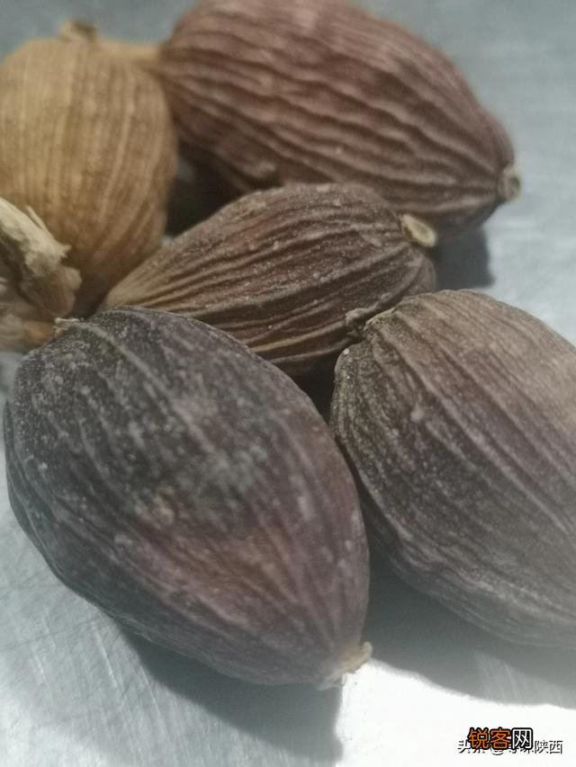 草果草寇肉蔻在卤水的区别？