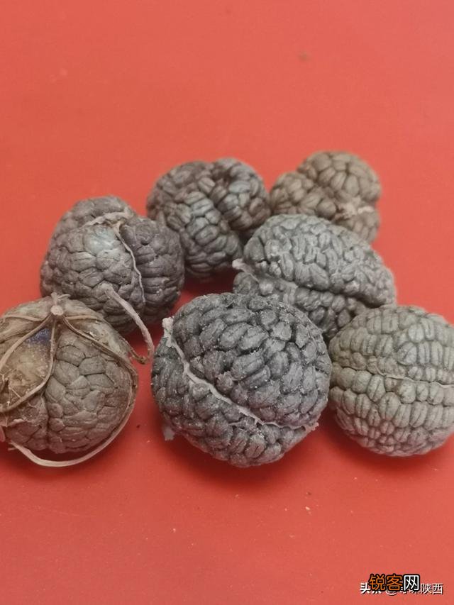 草果草寇肉蔻在卤水的区别？