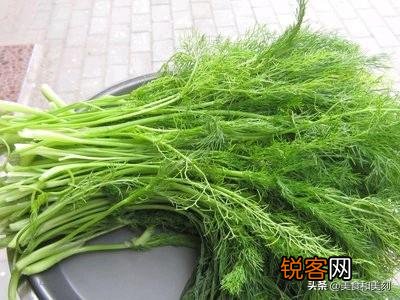 茴香肉馅忌讳什么？