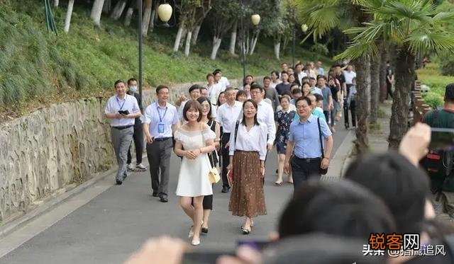 马云去安徽吃火锅,为什么要带上薇娅和韩红？