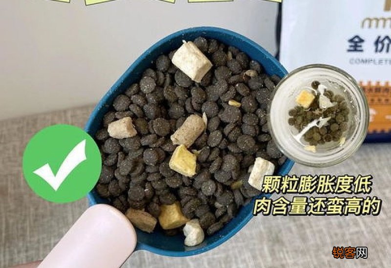 狗粮泡水可以吃吗