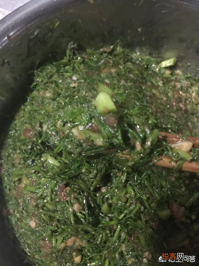 茴香包饺子该放哪些调料？