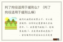 判了拘役适用于缓刑么嘛 判了拘役适用于缓刑么？