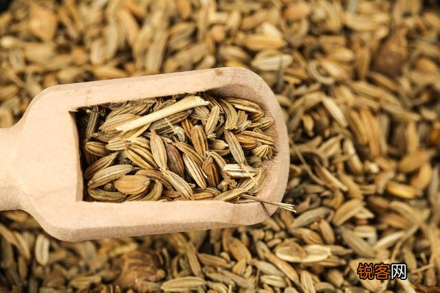 吃茴香有什么好处？