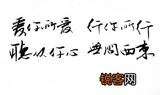爱你所爱行你所行什么意思 爱你所爱行你所行意思解析